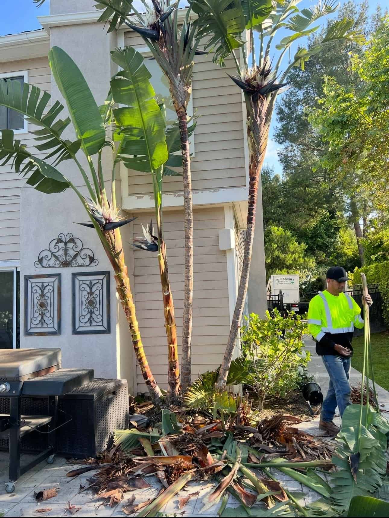 J B Sanchez Landscaping, servicios de jardinería y mantenimiento de áreas verdes en hogares y negocios, con enfoque en paisajismo y cuidado de plantas.