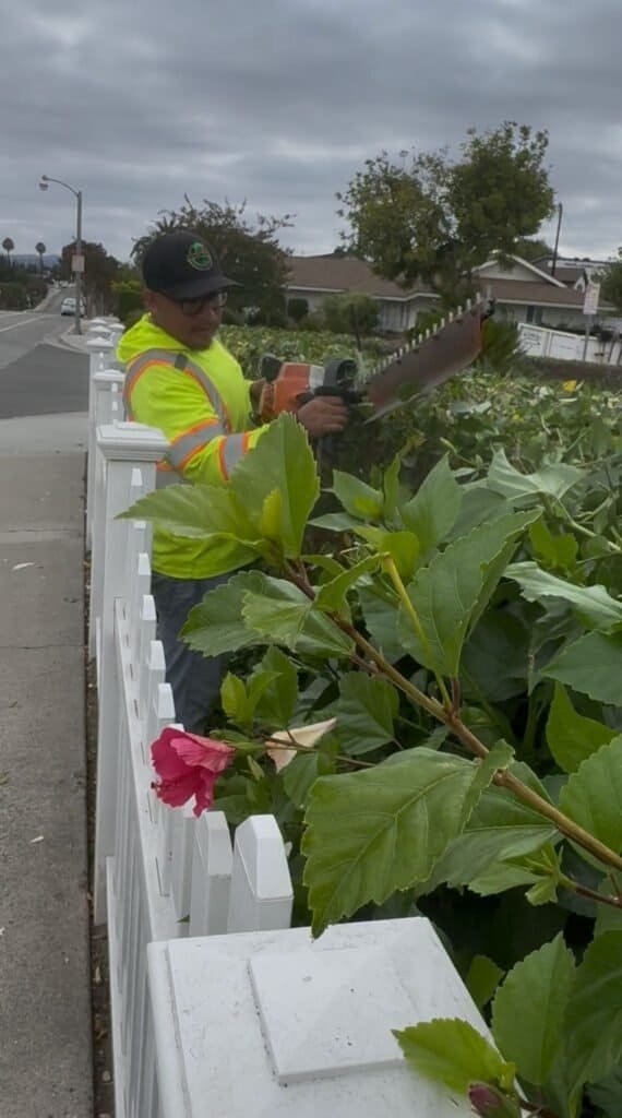 Cortacésped realizando mantenimiento de jardines en una zona residencial, servicios profesionales de jardinería y paisajismo en CDMX y alrededores.