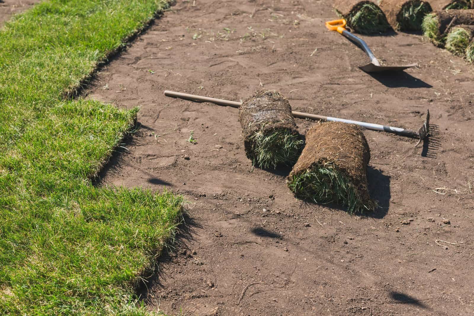 Mejoras en jardinería y nivelación de césped con herramientas y césped en proceso de siembra en un proyecto de paisajismo.